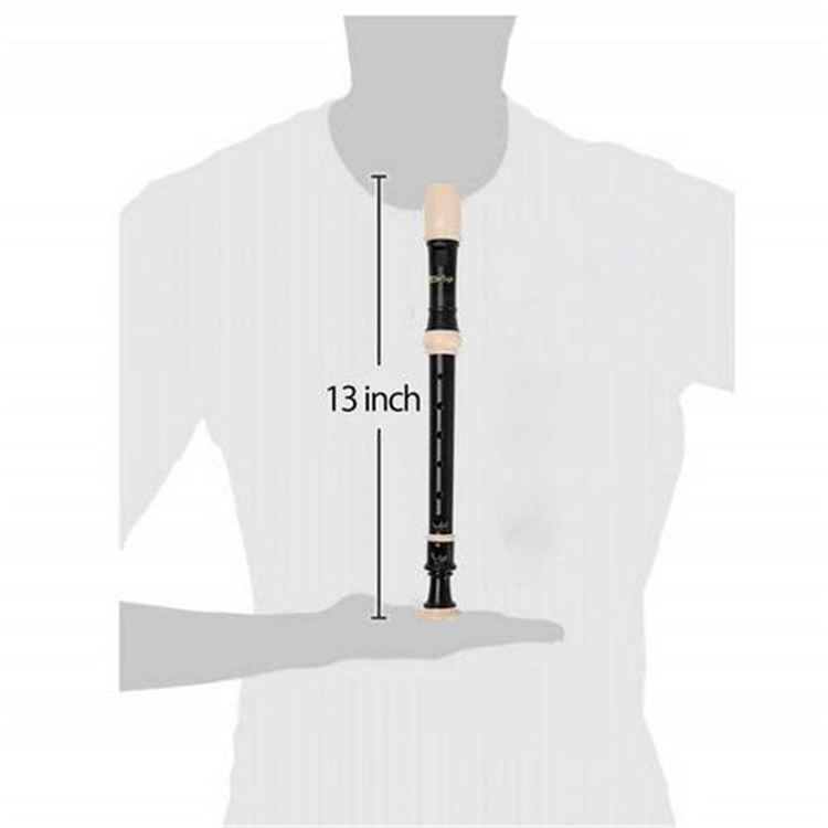 Soprano Descant Recorder 8 Hole With Cleaning Rod Case Instruction
