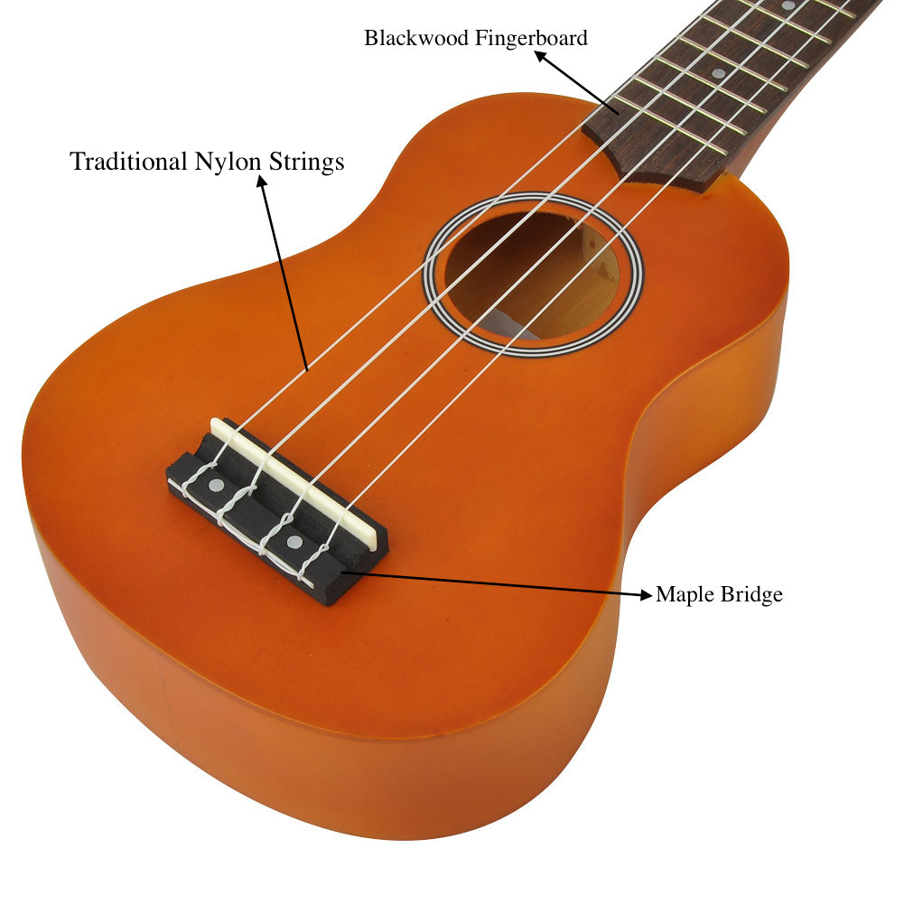 Soprano Ukulele Beginner Pack-21 Inch w/ Gig Bag Songbook Digital Tuner