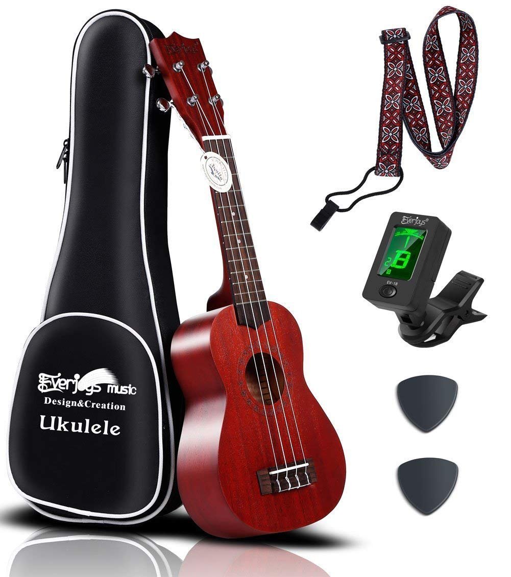 Mahogany Soprano Ukulele Kit - Professional 21 inch w/Case Strap Tuner Aquila Strings EVUKP01