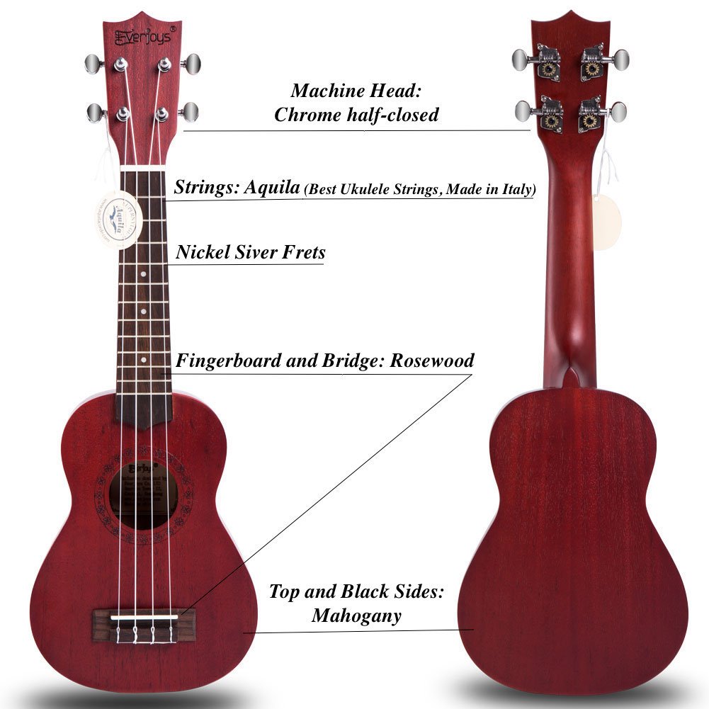 Mahogany Soprano Ukulele Kit - Professional 21 inch w/Case Strap Tuner Aquila Strings EVUKP01